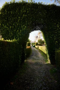 Castelo de Paiva (Portugal), January 13, 2023. Path in a garden. Vegetal arch with a path and a palace in the background. This town is close to Viseu.