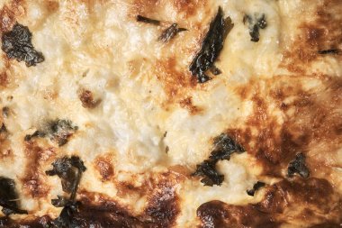 Hake Cake. Kremalı, peynirli, yumurtalı ve hakalı fırında yemek.