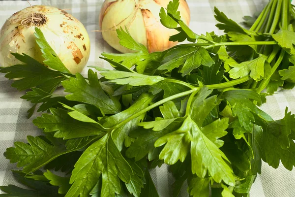 Parsley Parsley Bouquet Two Onions — Stock Photo, Image