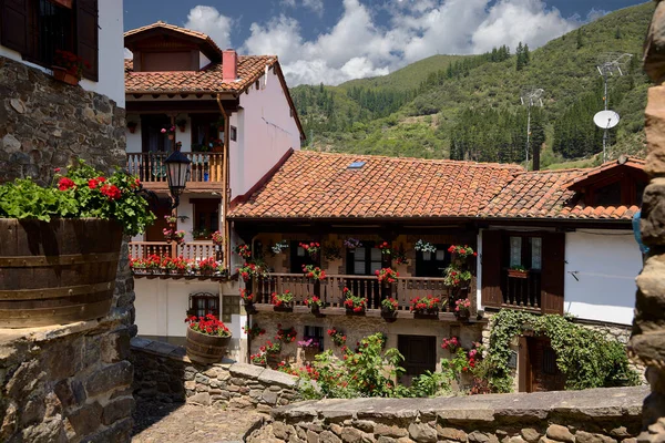 Potes (İspanya), 15 Haziran 2023. Sardunyalı evler. Bu şehrin Cantabria 'daki eski semti tamamen çiçeklerle süslenmiş. Evlerin tipik bir dağ mimarisi var..