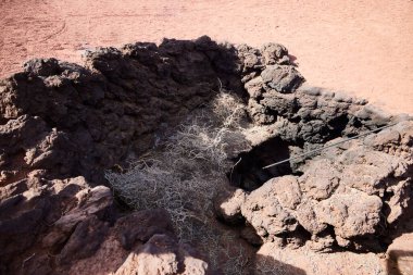 Doğal volkanik fırınlar. Yüzeyden birkaç metre uzaklıktaki Timanfaya Parkı 'nda (Lanzarote, İspanya)