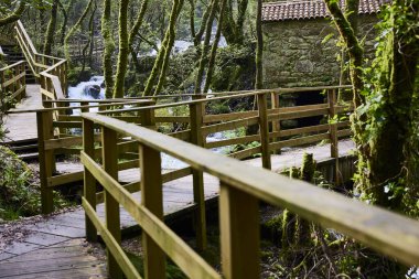 Nehir ve şelale. Küçük bir nehir, kayalar ve yürüyüş yolu olan bir orman manzarası.