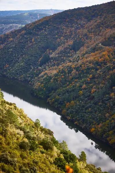 Üzüm bağları ve Sil Nehri. Lugo vilayetindeki Ribeira Sacra 'nın görüntüsü, kırmızı şarap bağları ve Sil Nehri' nin kanyonlarından akan nehrin suyu..