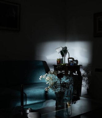 Yarı karanlıkta çiçekler (Lugo, İspanya), 2 Şubat 2025. Yarı karanlık bir ortamda bir buket çiçekli vazo. Pencereden güneş geliyor.