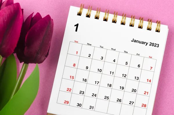 Styczeń 2023 Miesięczny Kalendarz Biurko 2023 Rok Czerwony Tulipan Różowym — Zdjęcie stockowe