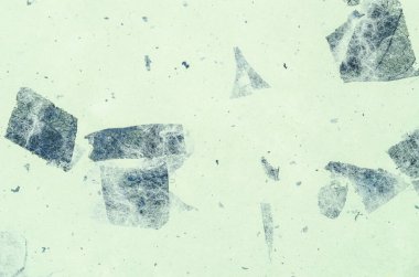 Yüksek çözünürlüklü el yapımı geri dönüştürülmüş yaprak kağıdı arka planı.