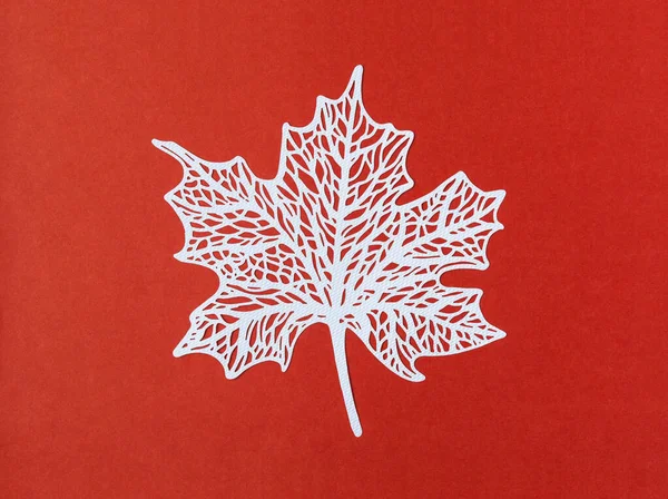 Schnitzwerk Aus Weißem Papier Ahornblättern Auf Rotem Hintergrund — Stockfoto