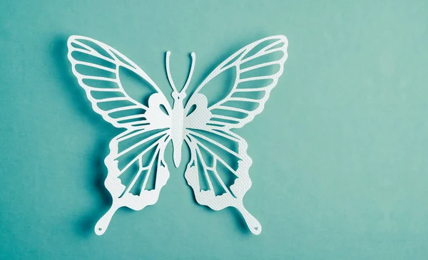 绿色背景上空白的纸制蝴蝶雕刻品 — 图库照片