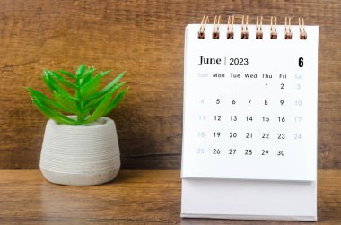 2023 Haziran ayının masa takvimi, bitki saksısıyla 2023 yılı..