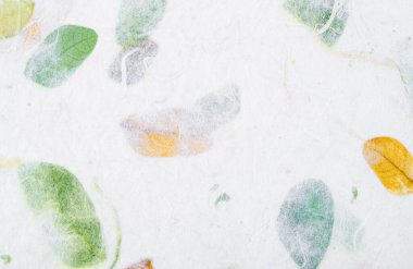 Dut kağıdı dokusu, Yeşil kağıdın üst görünümü, estetik yaratıcı tasarım için arkaplan