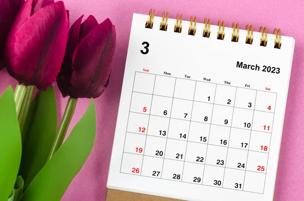 Março 2023 Monthly Desk Calendar 2023 Year Red Tulip Pink — Fotografia de Stock