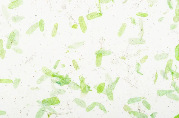 桑の紙の質感 トップビュー緑の紙の詳細 審美的な創造的なデザインの背景 — ストック写真