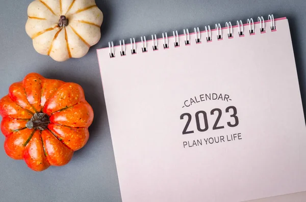 2023 Bureaukalender Met Pompoenen Grijze Achtergrond — Stockfoto