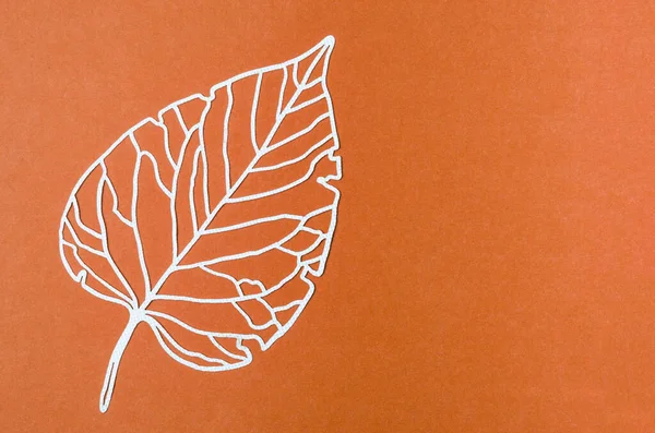 Carve of white paper leaves on a orange colour cardboard background.