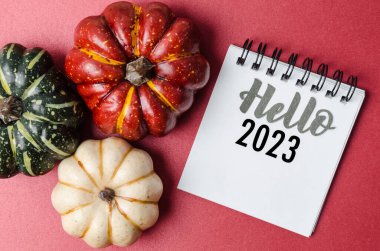 Merhaba 2023 günlük metni ve kırmızı arkaplanda balkabağı..