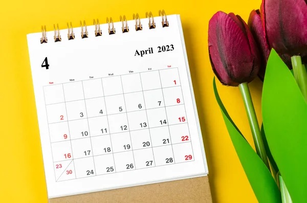 Kwiecień 2023 Miesięczny Kalendarz Biurkowy 2023 Rok Czerwony Tulipan Żółtym — Zdjęcie stockowe