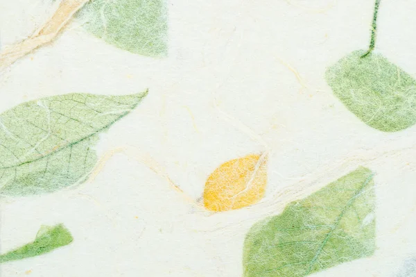 Текстура Бумаги Шелкопряда Вид Сверху Зеленую Бумагу Фон Эстетического Креативного — стоковое фото