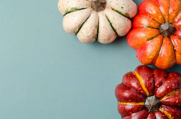 stock image Top view of Pumpkins and grey background.