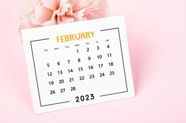 February 2023 Monthly desk calendar with dried flower on pink background.