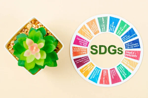 SDGs 17 development goals environment with small plant pot. Environment Development concepts.