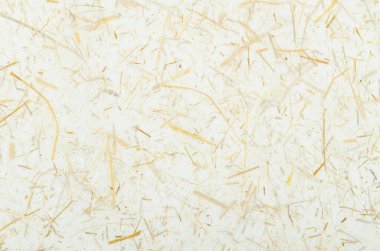 Dut kağıt arka planı için kullanılan kurutulmuş çim dokusu ile.