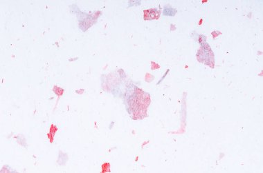 Pink mulberry paper with petal and leaf texture used for a background.