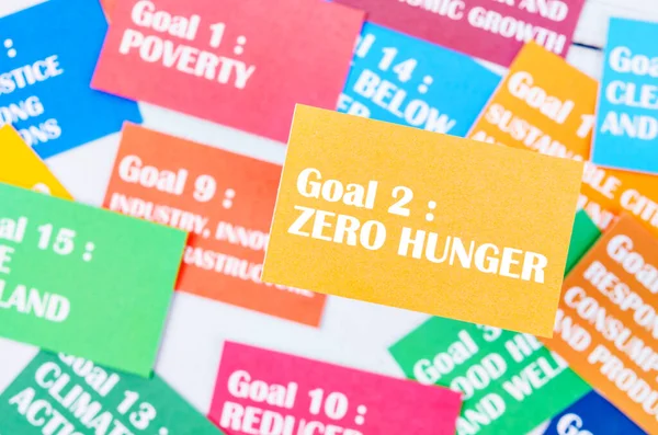 Goal 2 : Zero Hunger. The SDGs 17 development goals environment. Environment Development concepts.