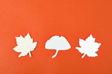 Kırmızı arkaplanda beyaz kağıt akçaağaç yaprakları.