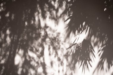 Natural shadow overlay on grey colored grunge wall concrete  texture background. Textures Light reflection from the window.