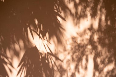 Turuncu renkli grunge duvar beton doku arka planında doğal gölge var. Penceredeki Dokular Işık yansıması.