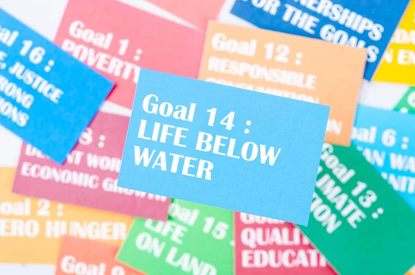 Goal 14 : Life below water. The SDGs 17 development goals environment. Environment Development concepts.