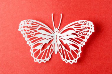 Kağıt kelebeği boş bir arkaplanda kırmızı bir arkaplan oluşturur.