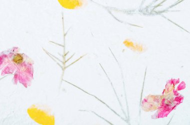 Mulberry Paper with leaf and flower print texture background.