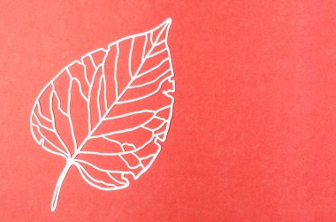 Carve of white paper leaves with empty space on a red colour cardboard background.