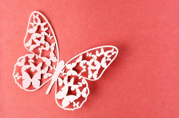 Paper Butterfly Carve Red Background — Stock Photo, Image