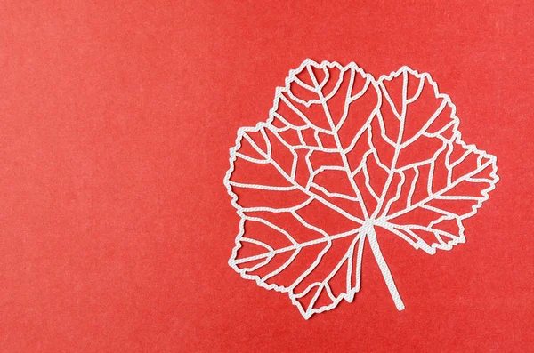 Carve White Paper Leaves Empty Space Red Colour Cardboard Background — Stock Photo, Image
