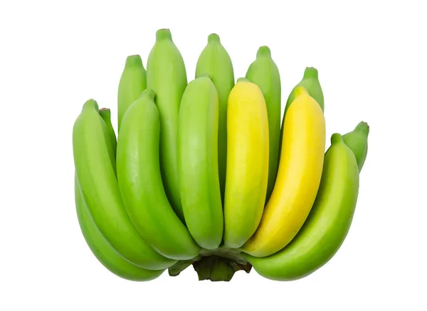 Cavendish Banan Lub Banan Surowy Zielony Żółty Izolowane Białym Tle — Zdjęcie stockowe