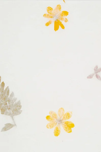 Dried Flowers Handmade Recycled Paper — Stock Photo, Image