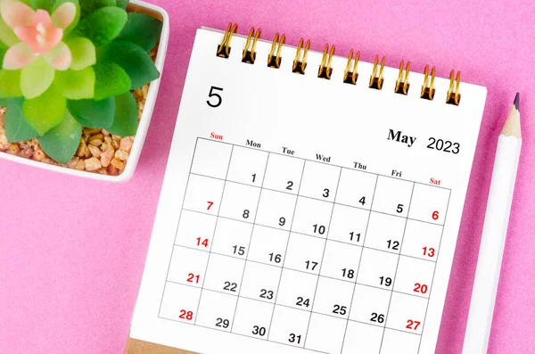 Maj 2023 Biurko Kalendarz 2023 Doniczki Roślin Różowym Tle — Zdjęcie stockowe