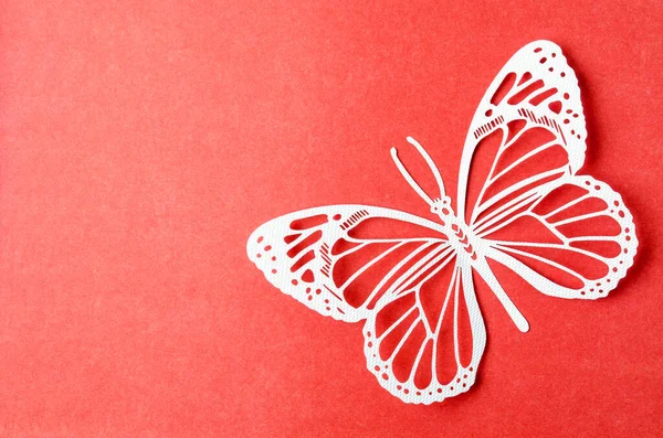 Talla Mariposa Papel Sobre Fondo Rojo Con Espacio Vacío — Foto de Stock