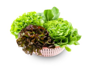 Beyaz arka planda izole edilmiş sepetteki taze hidrofonik salata sebzeleri..