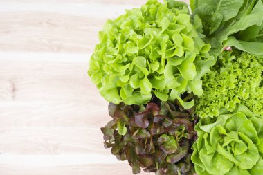 Group of Hydroponic vegetables on wooden background. Green butter head, Red Oak, Green Oak, Green coral and Green cos Lettuce.