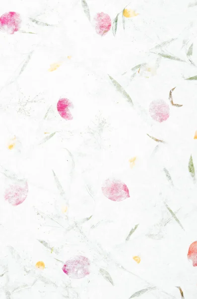 Mulberry Paper Sheet Decorated Dry Flower Leaf Texture Background — Fotografia de Stock
