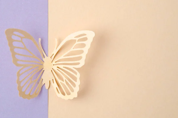 Schmetterling Aus Geschnitztem Papier Oder Schnitt Auf Schönem Hintergrund Mit — Stockfoto