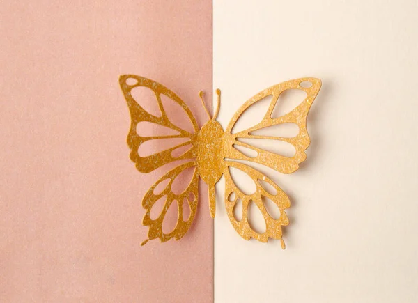蝴蝶是用雕刻纸做的 或者在漂亮的背景上裁剪 为你的文字或信息留出空白 — 图库照片