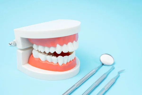 Modelo Próteses Dentárias Instrumento Dental Fundo Azul — Fotografia de Stock