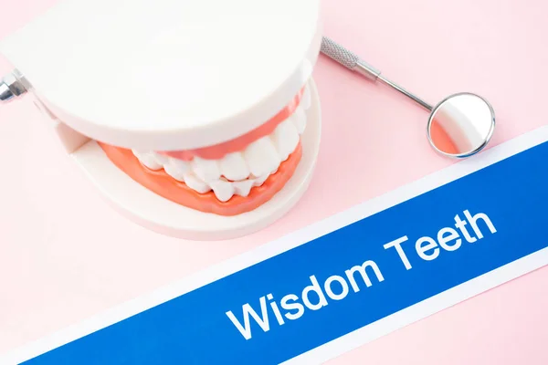 Modelo Dentes Com Dentes Wisdom Doença Dental Fundo Cor Rosa — Fotografia de Stock