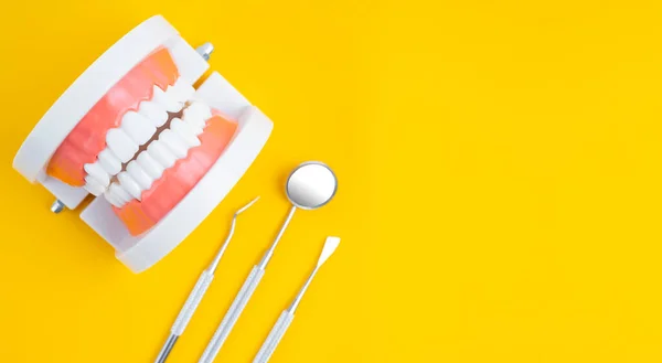 Model Zęba Dentystycznego Narzędziami Stomatologicznymi Pielęgnacji Zębów Leczenia Żółtym Tle — Zdjęcie stockowe