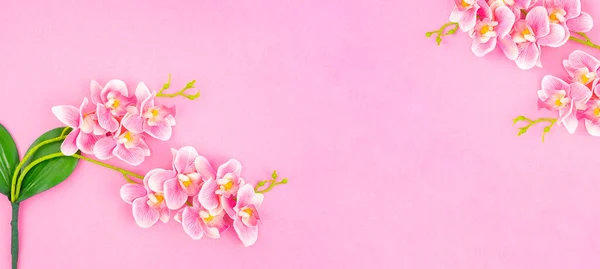 バナーだ オーキッド 上から緑色の葉を持つピンク色の蘭の2つの枝 — ストック写真