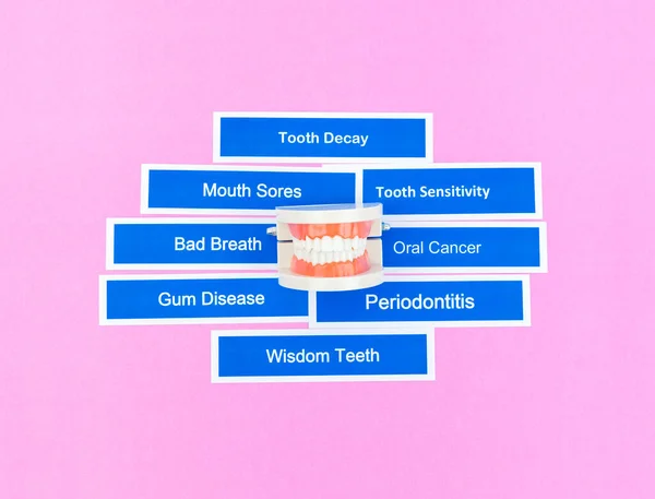Pembe Arka Planda Diş Hastalığı Olan Takma Dişler — Stok fotoğraf